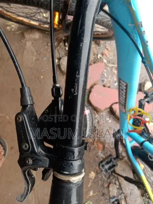 আর্জেন্ট সেল সাইকেল