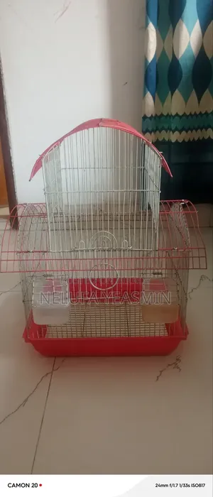 অনেক সুন্দর আর পাখির জন্য আরামদায়ক