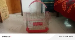 অনেক সুন্দর আর পাখির জন্য আরামদায়ক