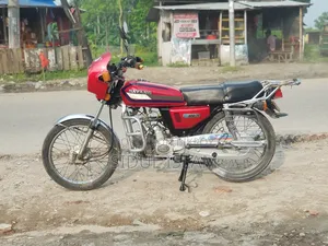 New Daylong DL110-2 2010 Red