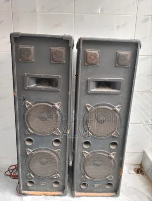 ভাইকার ডুয়াল ডিজে পার্টি স্পিকার