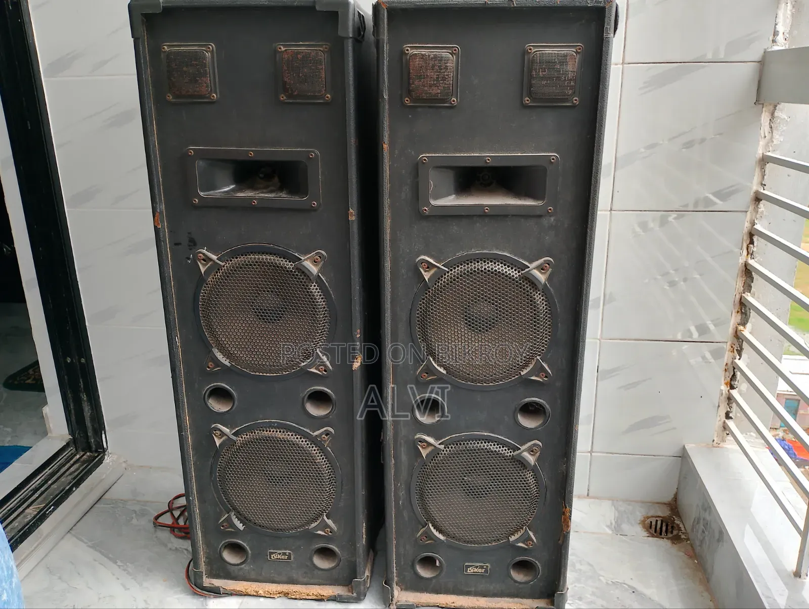 ভাইকার ডুয়াল ডিজে পার্টি স্পিকার