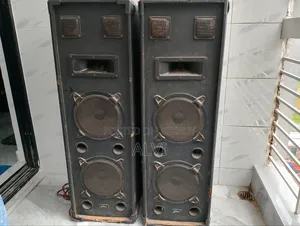 ভাইকার ডুয়াল ডিজে পার্টি স্পিকার