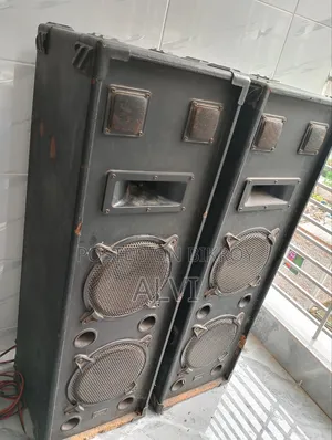 ভাইকার ডুয়াল ডিজে পার্টি স্পিকার