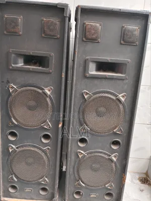 ভাইকার ডুয়াল ডিজে পার্টি স্পিকার