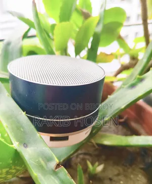 Bluetooth Speaker