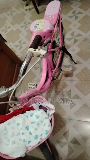 মেয়েদের বাইসাইকেল