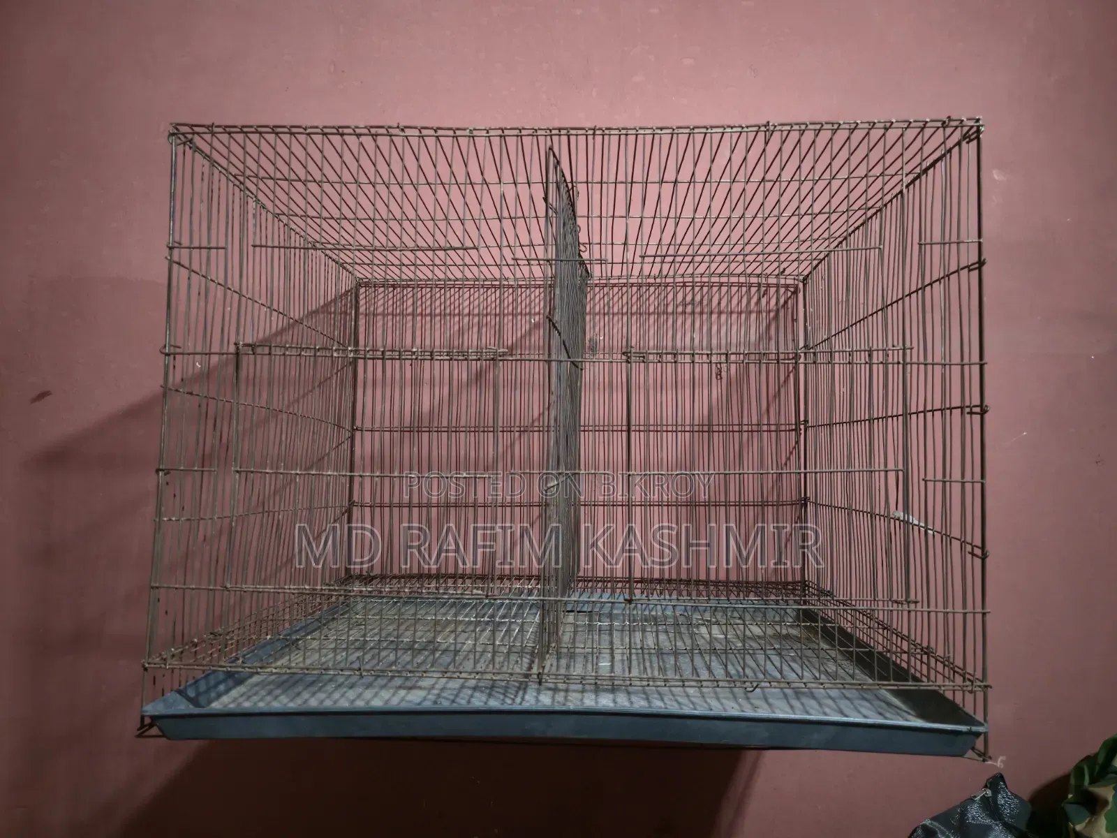 Bird Cage