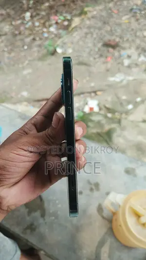অ্যাপল আইফোন ১২ প্রো ২৫৬ জিবি ব্লু