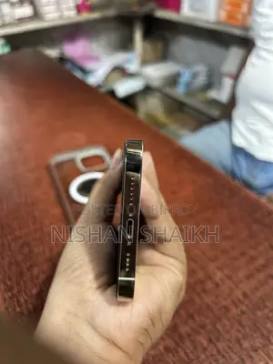 Apple iPhone 13 Pro Max 256 GB Gold