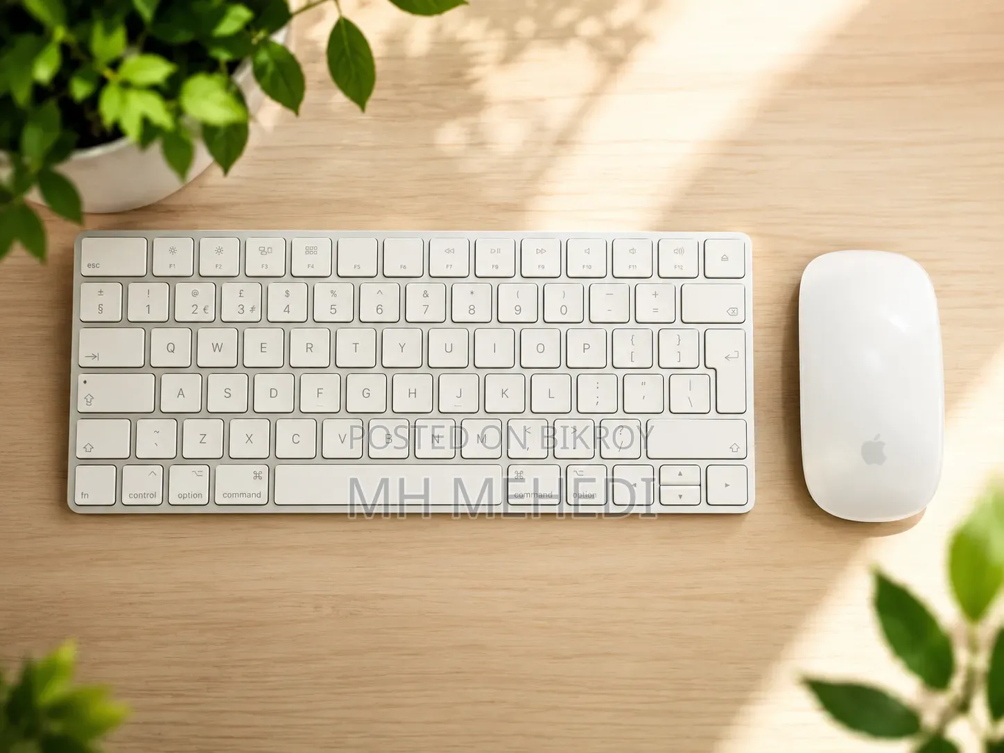 Apple Magic Keyboard Mouse