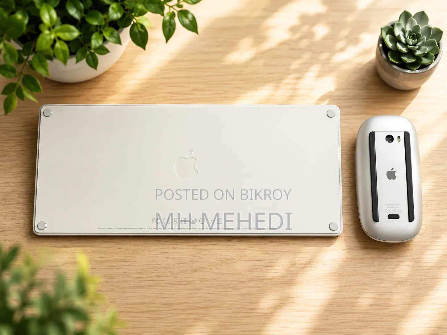 Apple Magic Keyboard Mouse