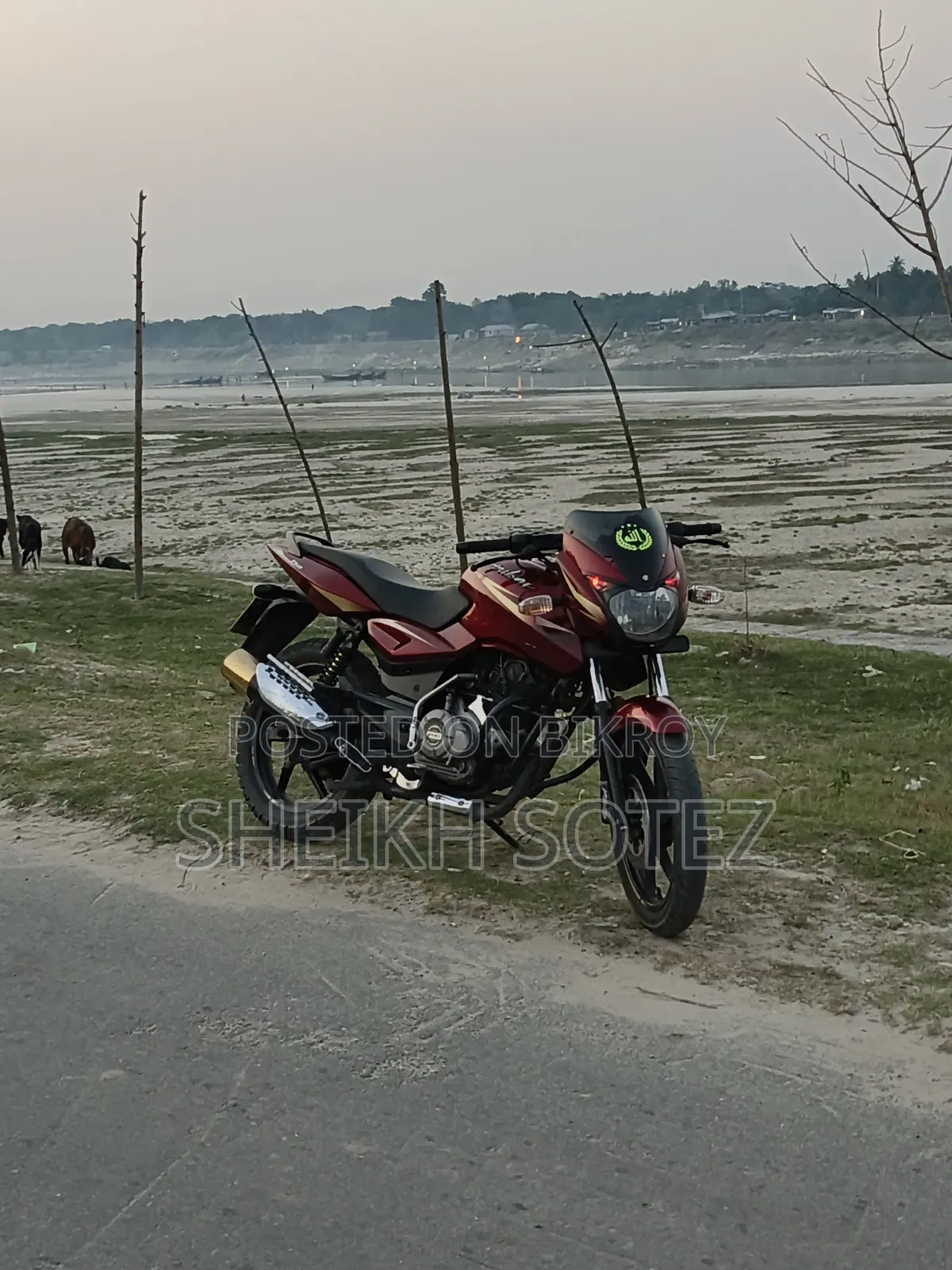 বাজাজ পালসার ১৫০ ২০১৯ রেড