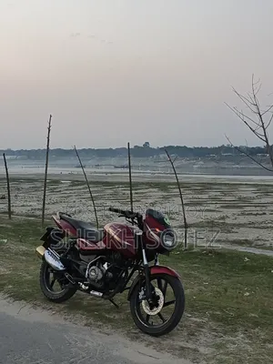 বাজাজ পালসার ১৫০ ২০১৯ রেড