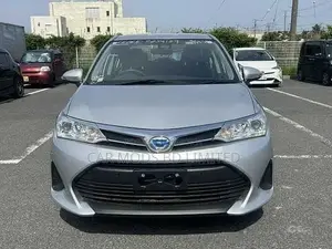Toyota Axio 2022 Silver