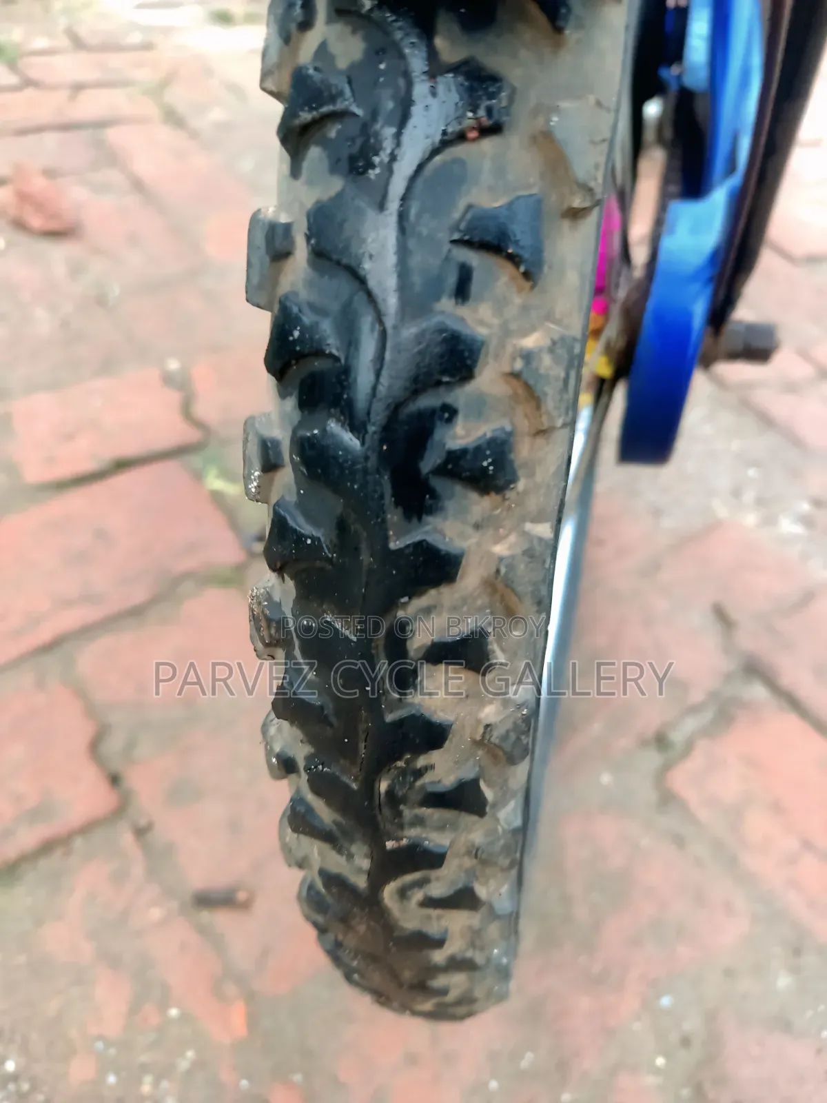 স্পাইডার-ম্যান ২০ ইঞ্চি বাচ্চাদের সাইকেল | সম্পূর্ণ সার্ভিসিং করা | বাচ্চাদের জন্য সেরা উপহার |