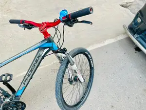 ফিনিক্স ১৯০০