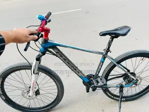 ফিনিক্স ১৯০০