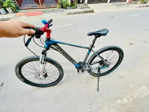 ফিনিক্স ১৯০০