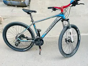 ফিনিক্স ১৯০০