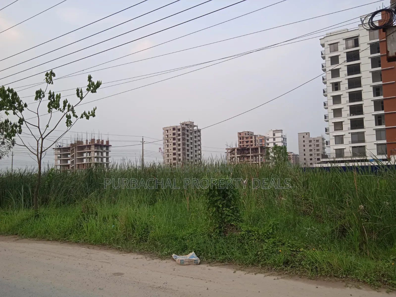 10 Katha South-Facing Plot in Bashundhara N Block – Limited Time Special Opportunity!