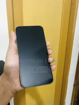 Apple iPhone 12 Pro Max 128 GB Rose Gold