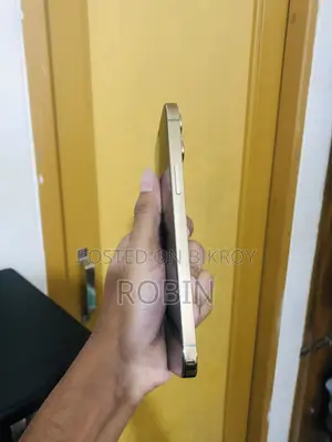 Apple iPhone 12 Pro Max 128 GB Rose Gold