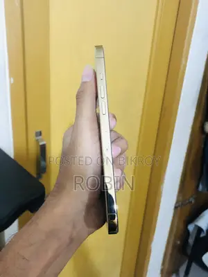 Apple iPhone 12 Pro Max 128 GB Rose Gold