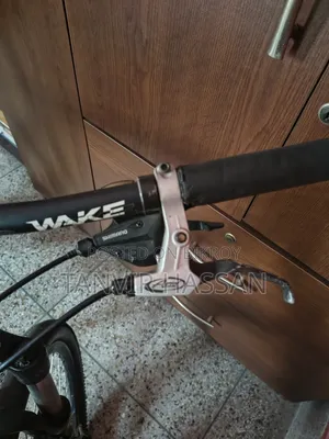 Mustang Cycle Beta 401