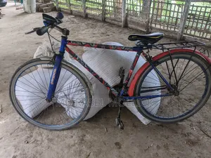 চিকন চাকার সার্ভিস খুব ভালো