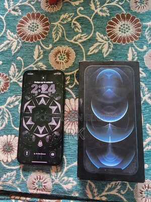 অ্যাপল আইফোন ১২ প্রো ম্যাক্স ২৫৬ জিবি ব্লু