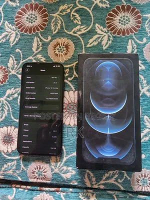 অ্যাপল আইফোন ১২ প্রো ম্যাক্স ২৫৬ জিবি ব্লু