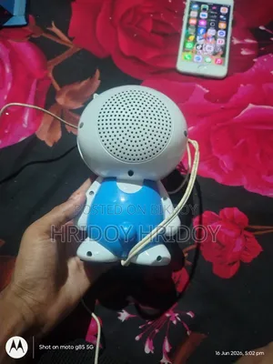Bluetooth Speaker