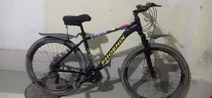 Phoenix Gear Cycle