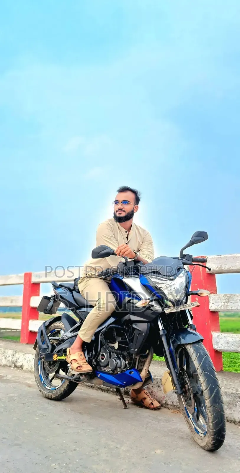 Bajaj Pulsar NS 160 2019 Blue