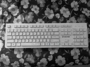Walton Wks003wn Standard Keyboard