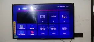 Singer 48" Television