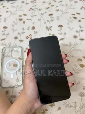 অ্যাপল আইফোন ১৫ প্রো ম্যাক্স ৫১২ জিবি সিলভার