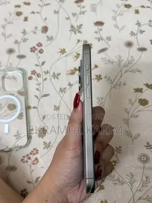 অ্যাপল আইফোন ১৫ প্রো ম্যাক্স ৫১২ জিবি সিলভার