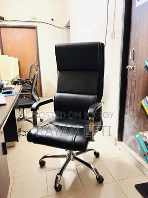 Directors Chair