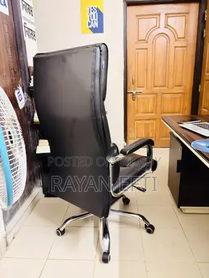 Directors Chair
