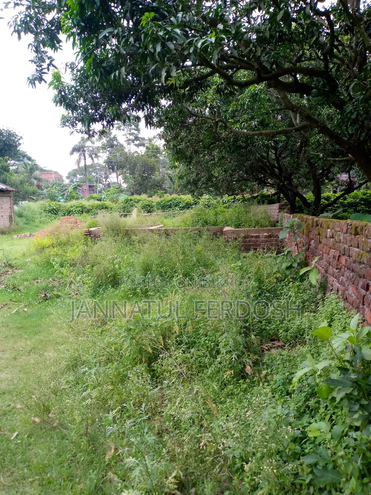 Land for Sale 3.87 Decimals