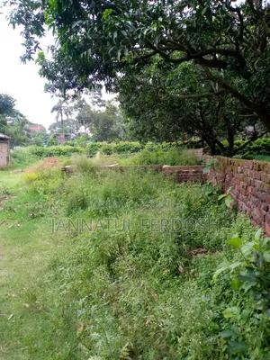 Land for Sale 3.87 Decimals