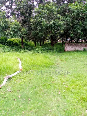 Land for Sale 3.87 Decimals