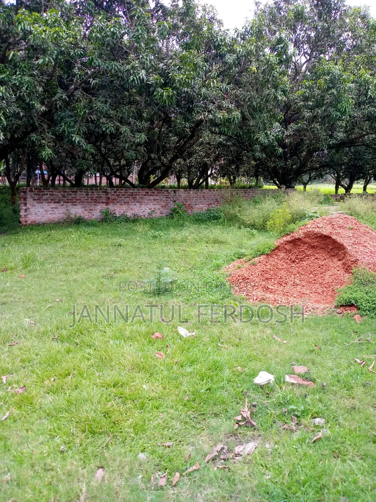Land for Sale 3.87 Decimals