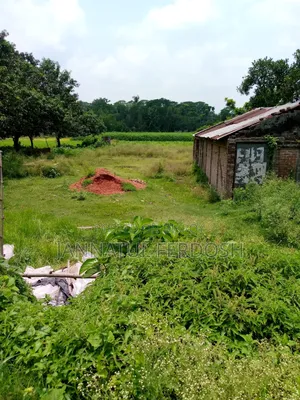 Land for Sale 3.87 Decimals