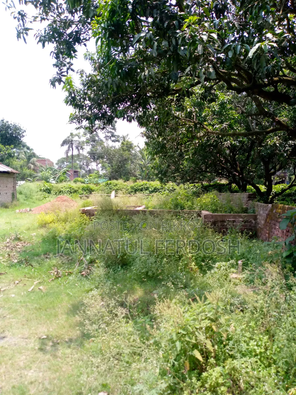 Land for Sale 3.87 Decimals