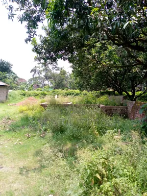 Land for Sale 3.87 Decimals