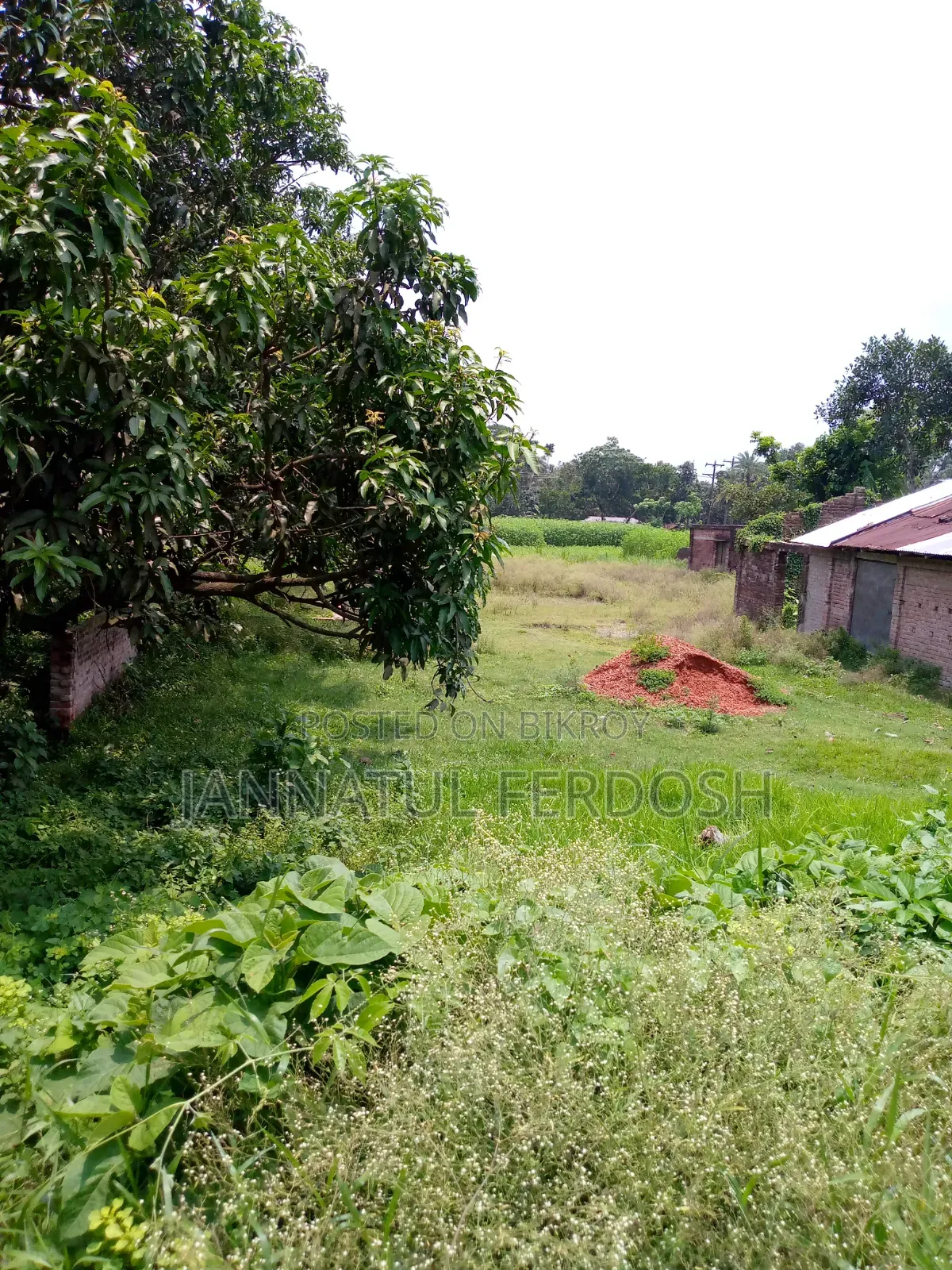 Land for Sale 3.87 Decimals