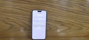 Apple iPhone 15 Pro Max 256 GB Gray